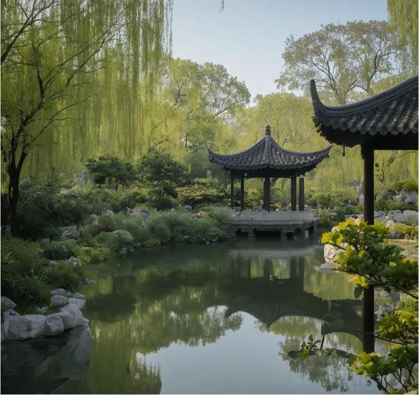 伊春翠峦雨真航空航天有限公司